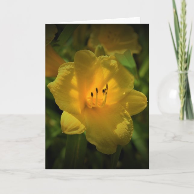 Cartão Lily, carta (Frente)