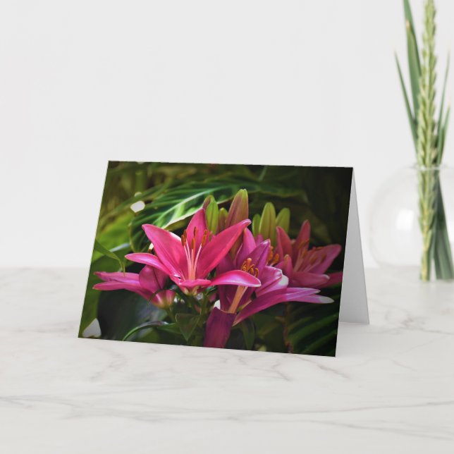 Cartão Lily, carta (Frente)