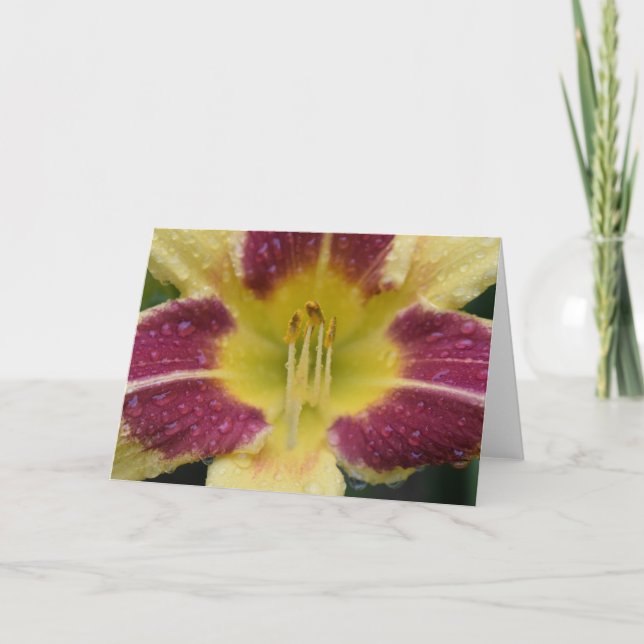 Cartão Lily, carta (Frente)