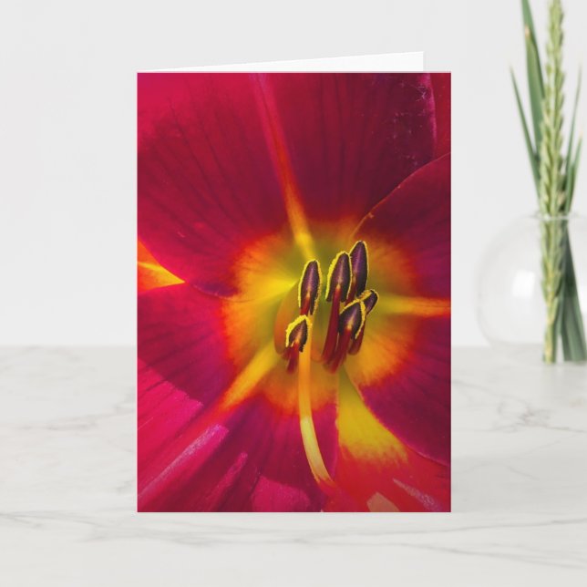 Cartão Lily, carta (Frente)