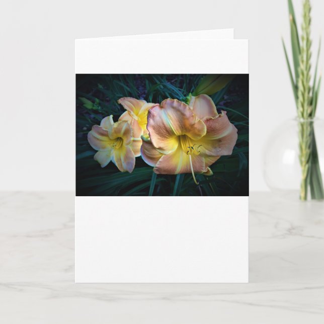 Cartão Lily, carta (Frente)