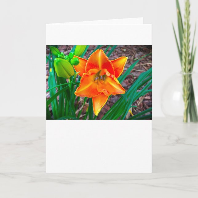 Cartão Lily, carta (Frente)