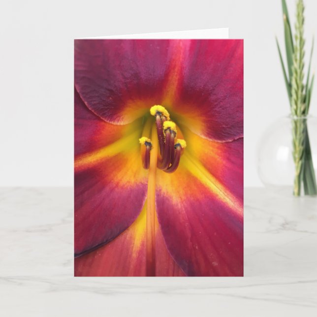 Cartão Lily, carta (Frente)