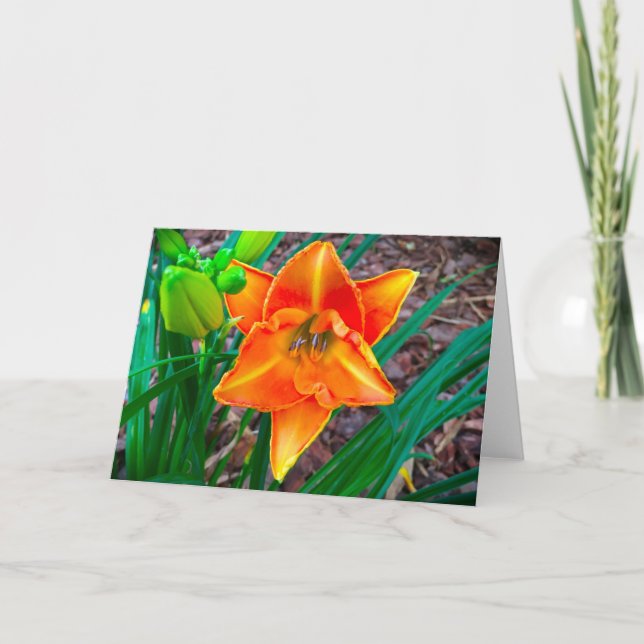 Cartão Lily, carta (Frente)