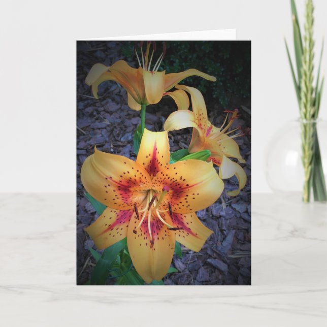 Cartão Lily, carta (Frente)