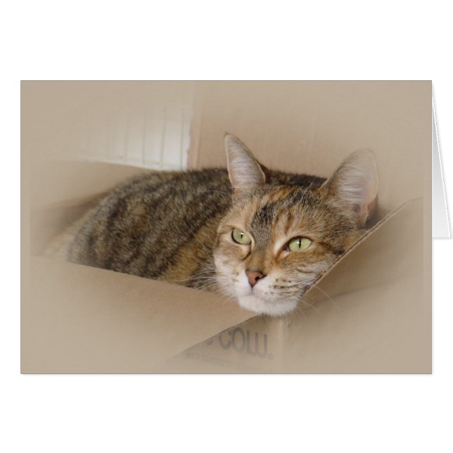 Cartão Lily nº 1 (Frente Horizontal)