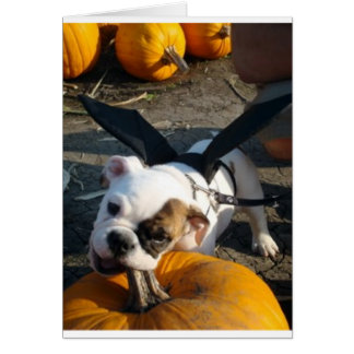 Cartão Lily no Pumpkin Patch