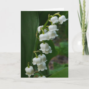 Cartão Lily-of-the-Valley