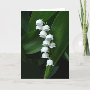 Cartão Lily of the Valley greeting card