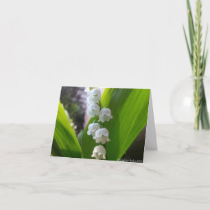 Cartão Lily-of-the-Valley Notecard