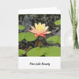 Cartão Lily Pad Beleza!