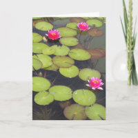 Lily Pads e Lotus Zen Birthday Card
