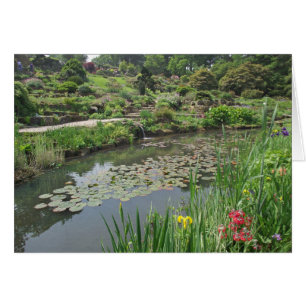 Cartão Lily Pond na RHS Wisley