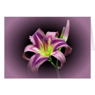 Cartão Lily Star com Roxo - Dia
