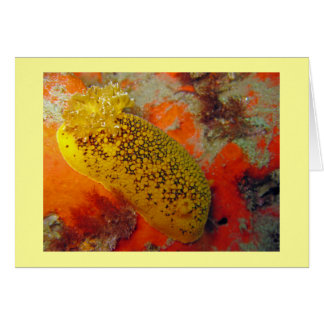 Cartão Limão-do-mar