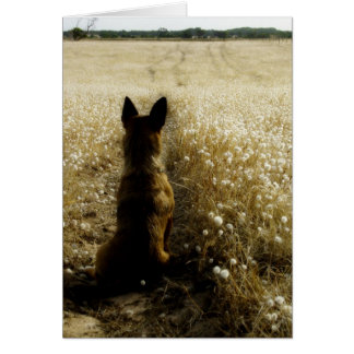 Cartão Limitado Homeward