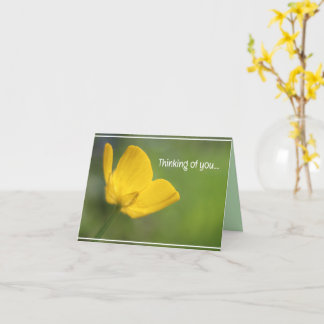 Cartão Linda Amarelo ButterCup natureza floral