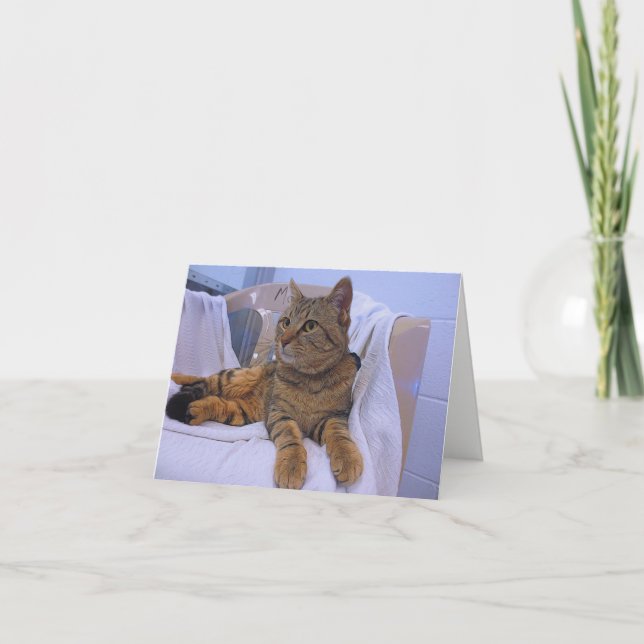 Cartão Linda Brown Tabby (Frente)