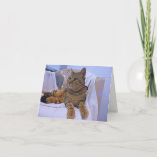 Cartão Linda Brown Tabby