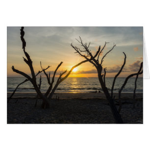 Cartão Linda Folly Morning