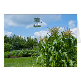 Cartão Linda Foto do Jardim Vegetal