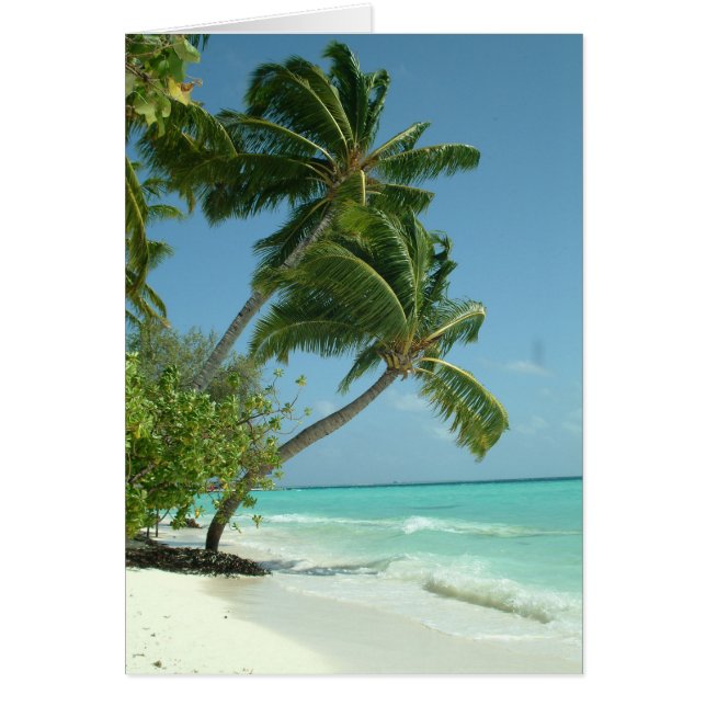 Cartão Linda praia, Maldivas (Frente)