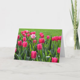Cartão lindas flores de tulipa rosa de primavera feliz an