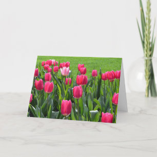Cartão lindas flores de tulipa rosa de primavera feliz an