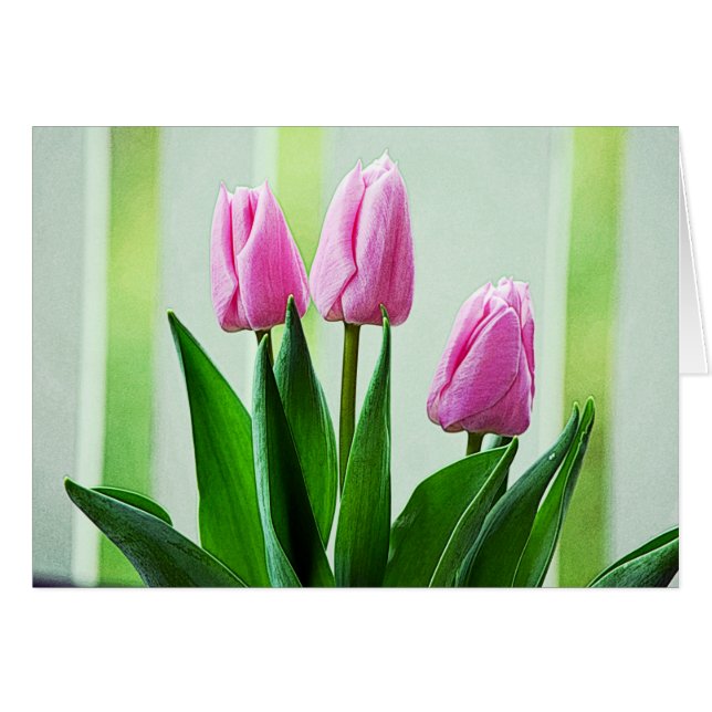 Cartão Lindas flores de tulipa rosa-primavera, folhas ver (Frente Horizontal)