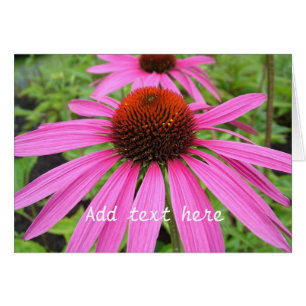 Cartão lindas flores roxas rosa