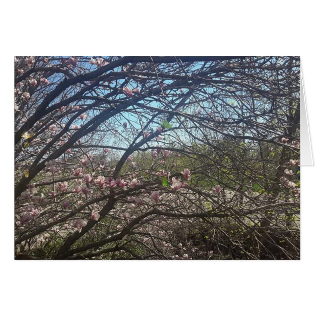 Cartão Lindas ramificações de árvore Placa de Vazio de ár (Frente Horizontal)