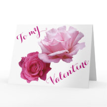 Lindas rosas cor-de-rosa amor de São Valentão flor