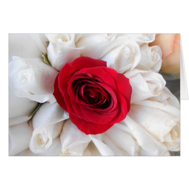 Cartão Lindegren (Frente Horizontal)