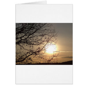 Cartão Lindo pôr do sol com galhos