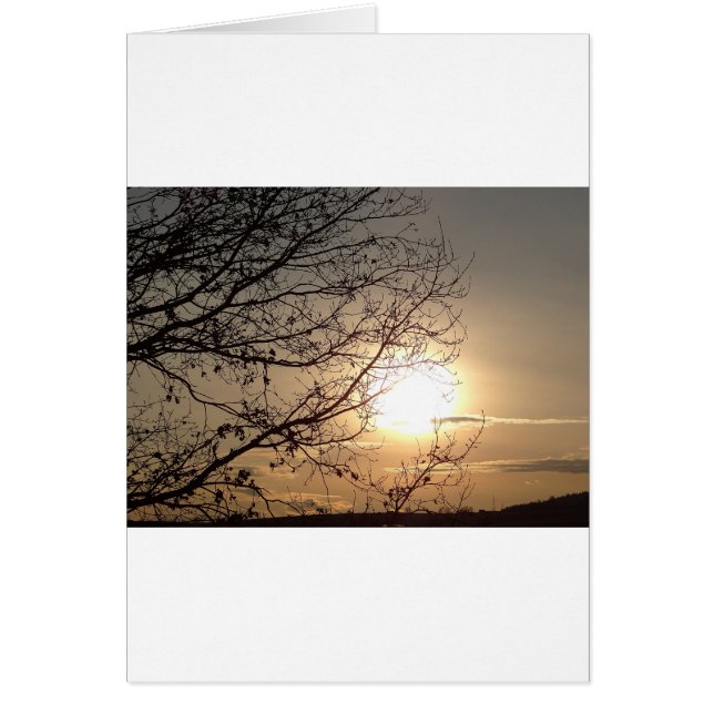 Cartão Lindo pôr do sol com galhos (Frente)