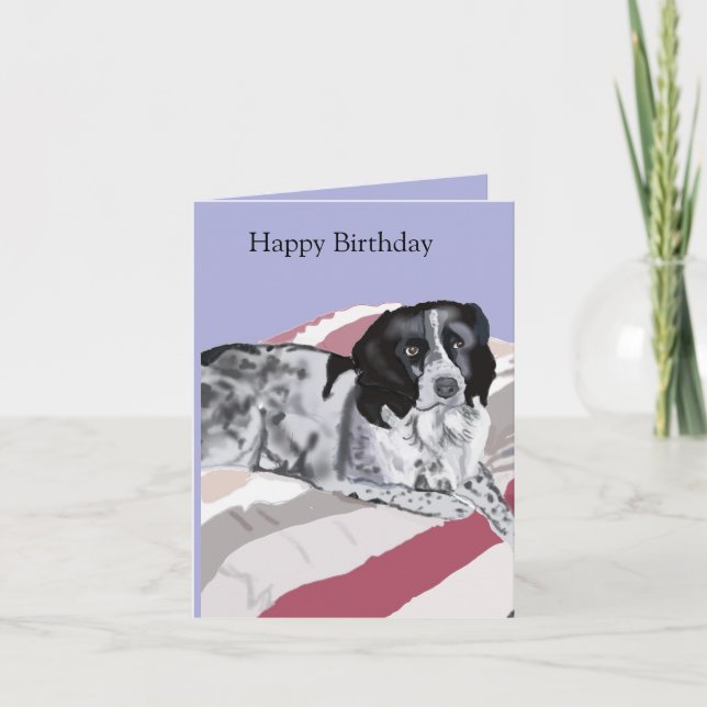 Cartão Lindo Springer Spaniel Preto e Branco (Frente)