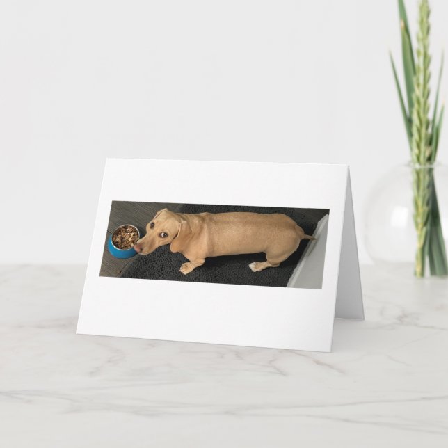 Cartão Lindo Vamos Almoçar Dachshund (Frente)