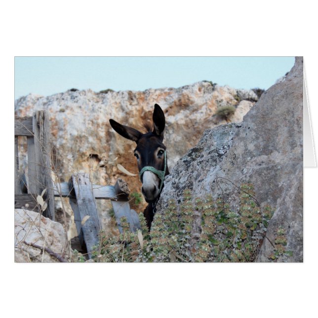 Cartão Lindos Donkey (Frente Horizontal)