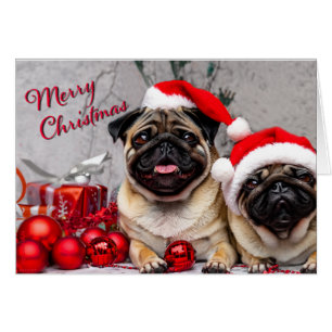 Cartão Lindos Pugs Feliz Natal Diversão de Feriado Saudaç