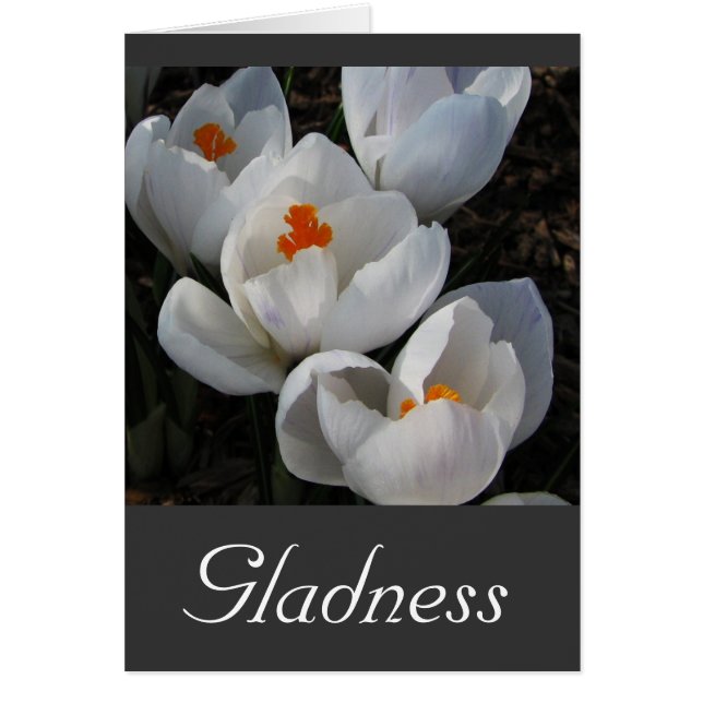 Cartão Língua das flores (Frente)