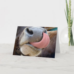 Cartão Língua das vacas