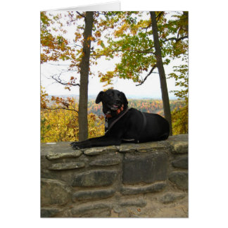 Cartão Lingueta na parede