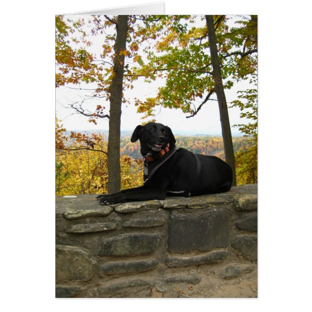 Cartão Lingueta na parede (Frente)