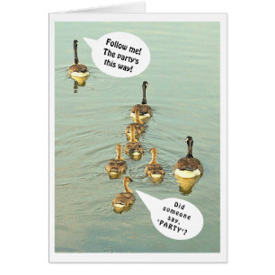 CARTÃO LINHA DE GEESE/SEGUA-ME! A FESTA É POR AQUI!