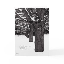 Linha do bordo: Citações de Emerson