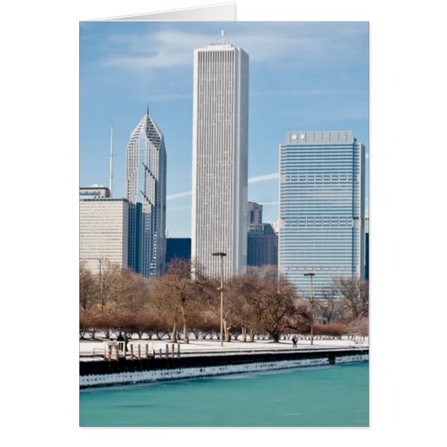 Cartão Linha do horizonte de Chicago através do lago cong (Frente)