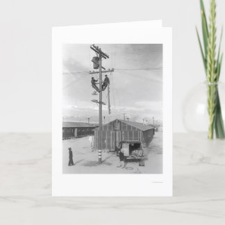 Cartão Linha grupo no trabalho em Manzanar 1943