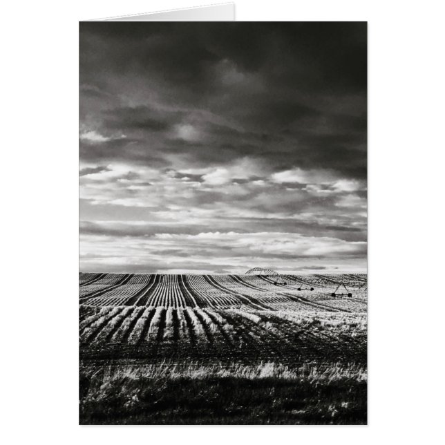 Cartão Linhas de campo de fazenda (Frente)
