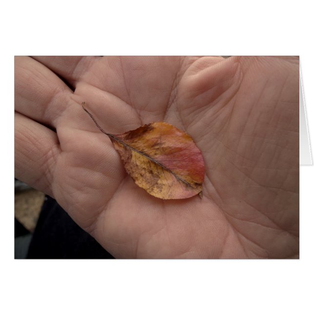 Cartão Linhas de Vida 2014 (Frente Horizontal)