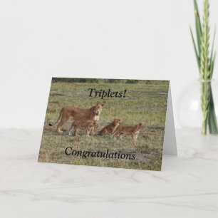 Cartão Lion baby triplets birth congratulations card